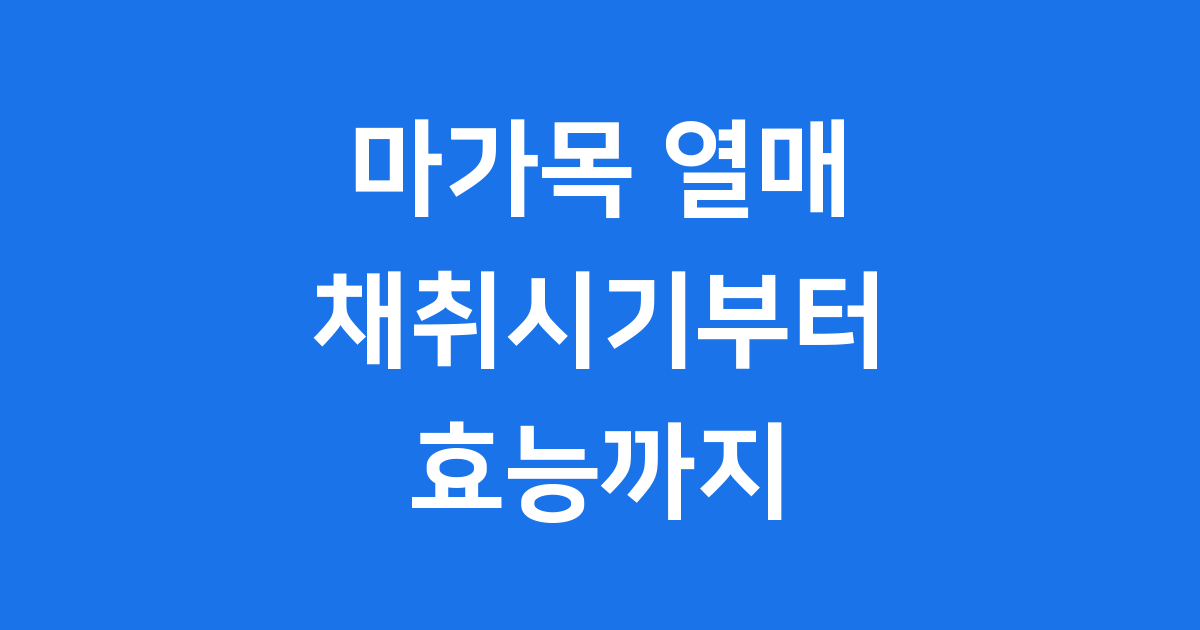 마가목 열매 채취시기