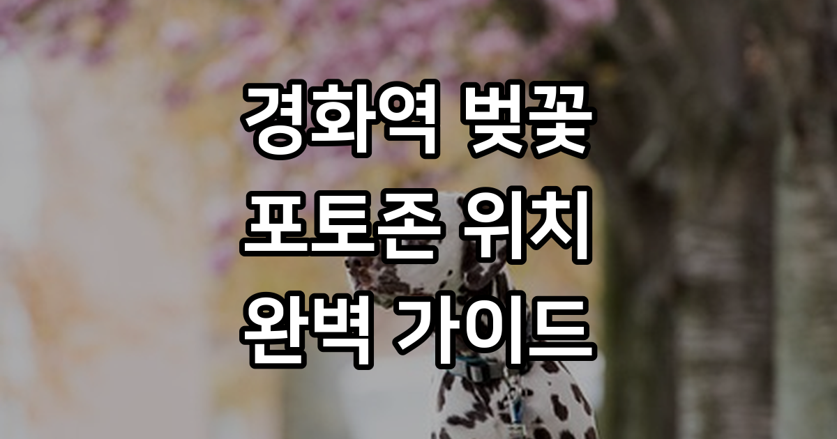 경화역 벚꽃 포토존 위치