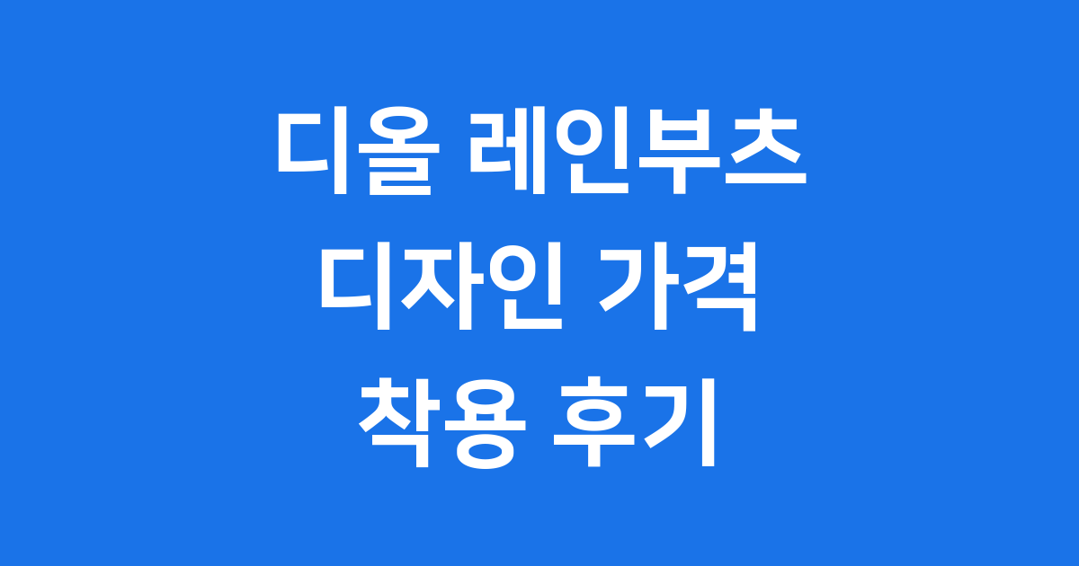 디올 레인부츠 디자인 가격 착용 후기
