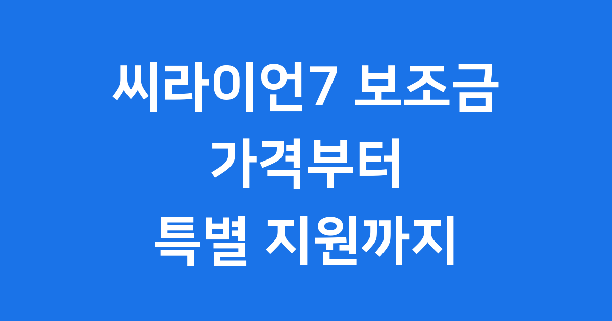 BYD 씨라이언 7 보조금 완전 정복