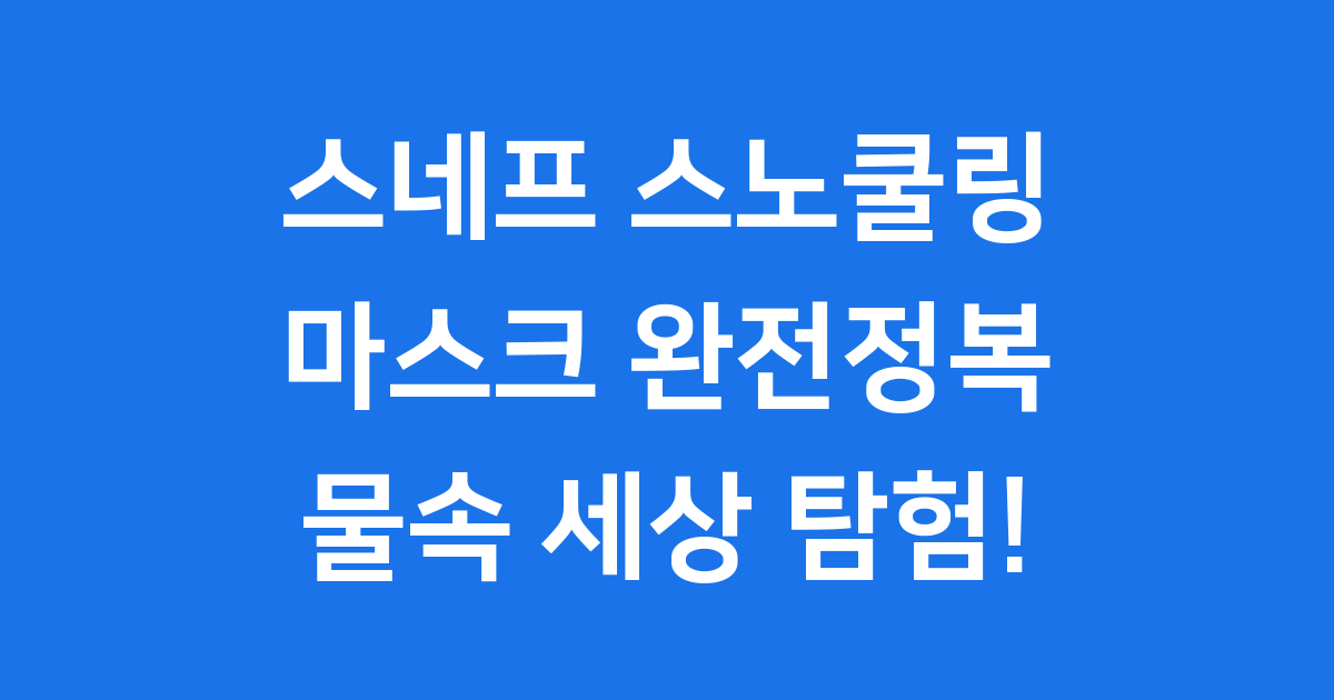 스네프 스노쿨링 마스크 특징 종류 가격