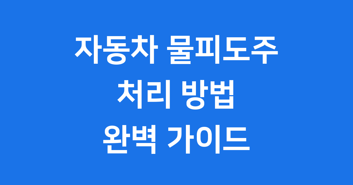 물피도주 당했다면 자동차 처리 방법 신고 절차 2025년 벌금까지