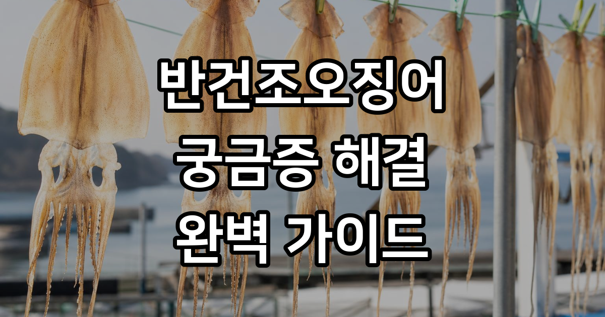 반건조오징어