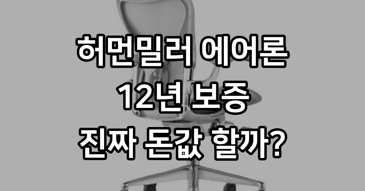 허먼밀러 에어론 메쉬 좌판 실제 단점 솔직 평가