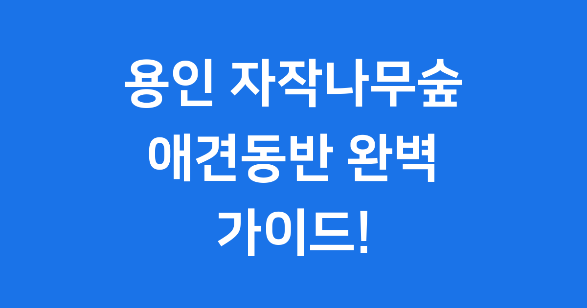 용인 자작나무숲 애견동반 완벽 가이드