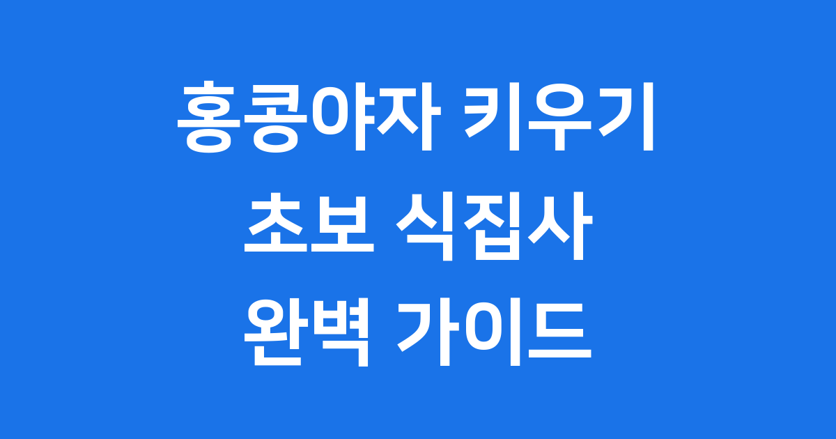 홍콩야자 키우기