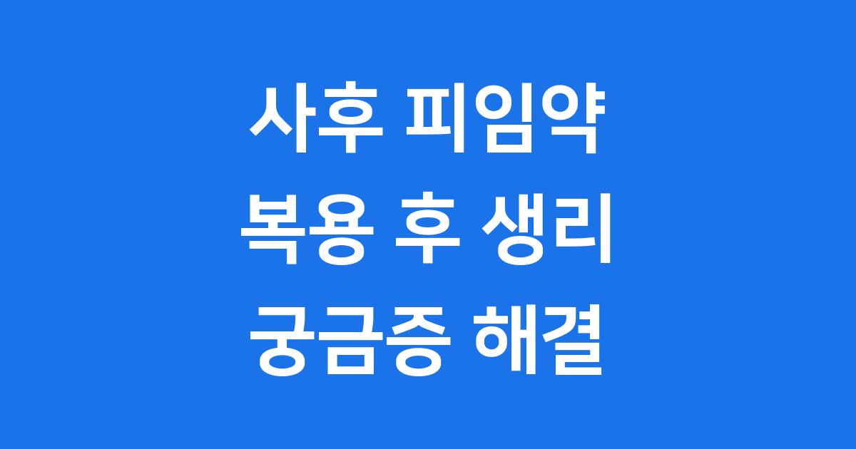 사후 피임약 먹고 생리