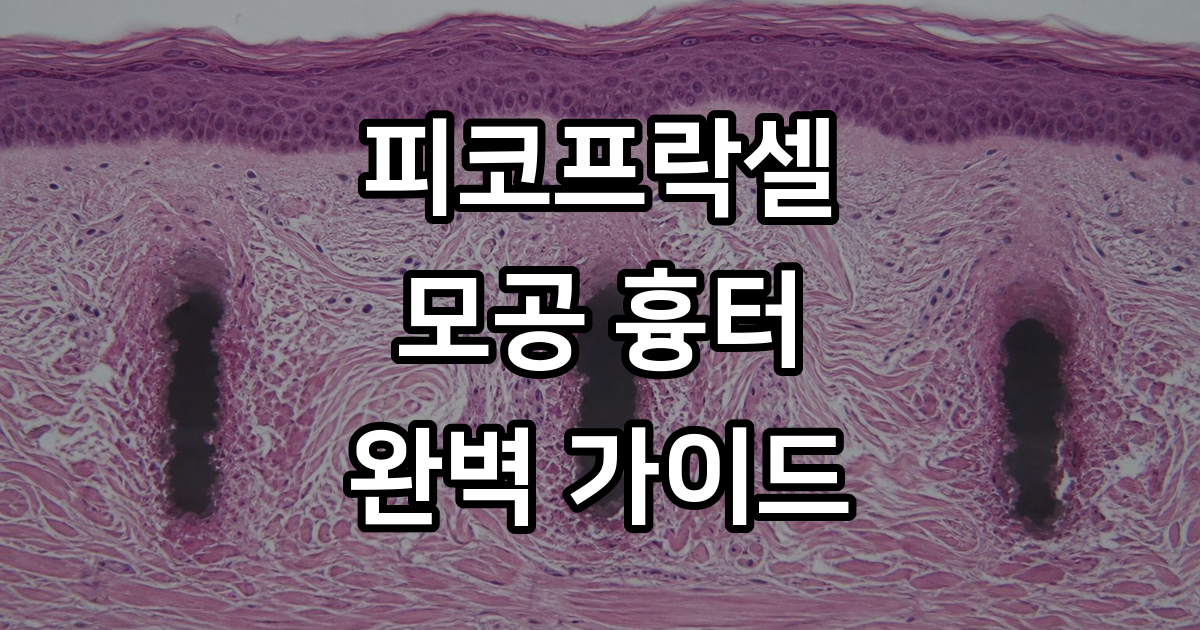 피코프락셀 효과 부작용 가격 완전 분석