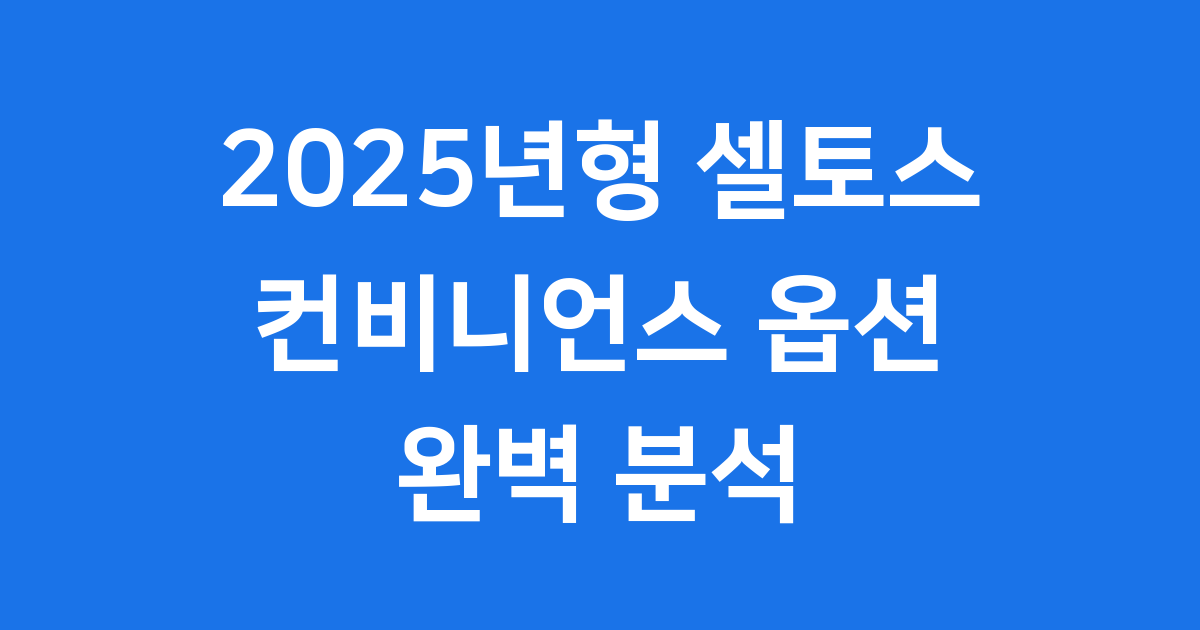 2025년형 셀토스 컨비니언스 옵션 완벽 분석