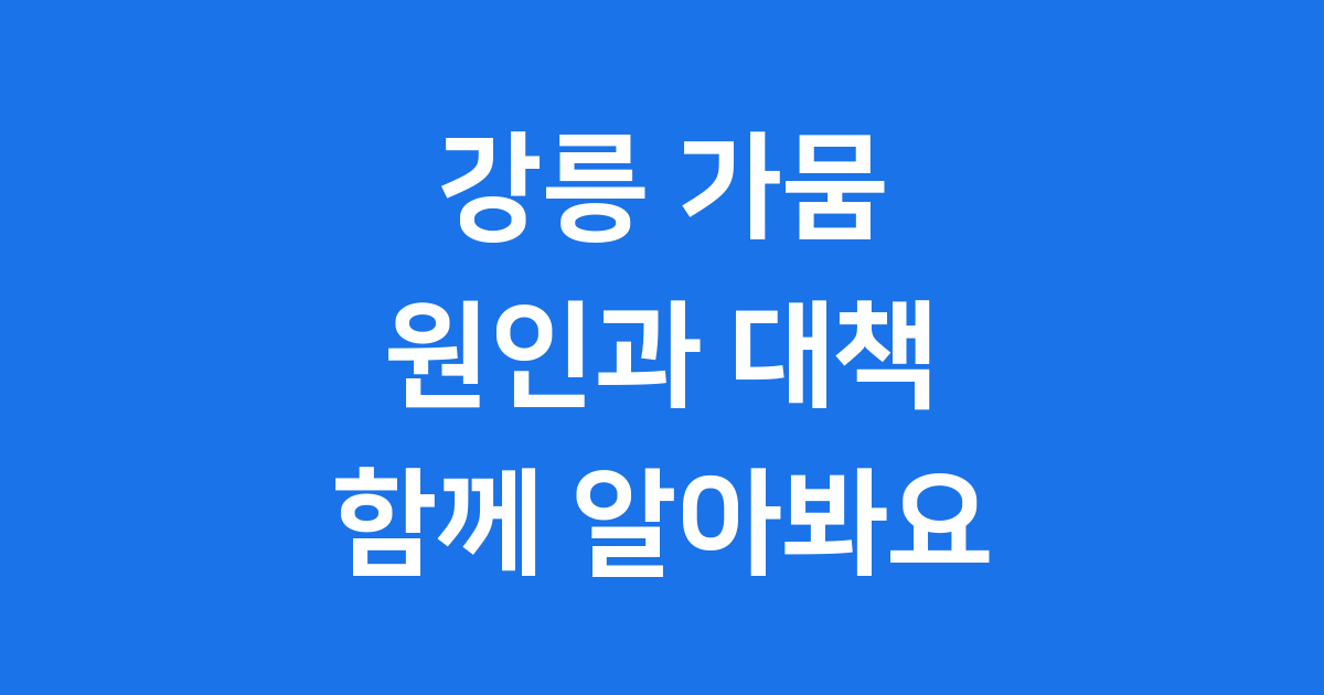 강릉 가뭄 원인과 대책 알아봐요