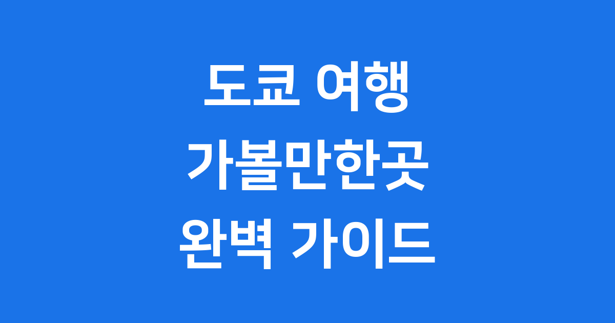 도쿄 가볼만한곳 2025년 최고의 여행 코스 추천