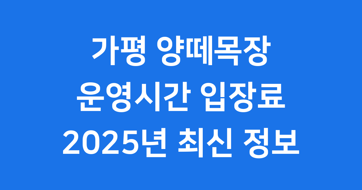 가평 양떼목장 운영시간 입장료 2025년 최신 정보