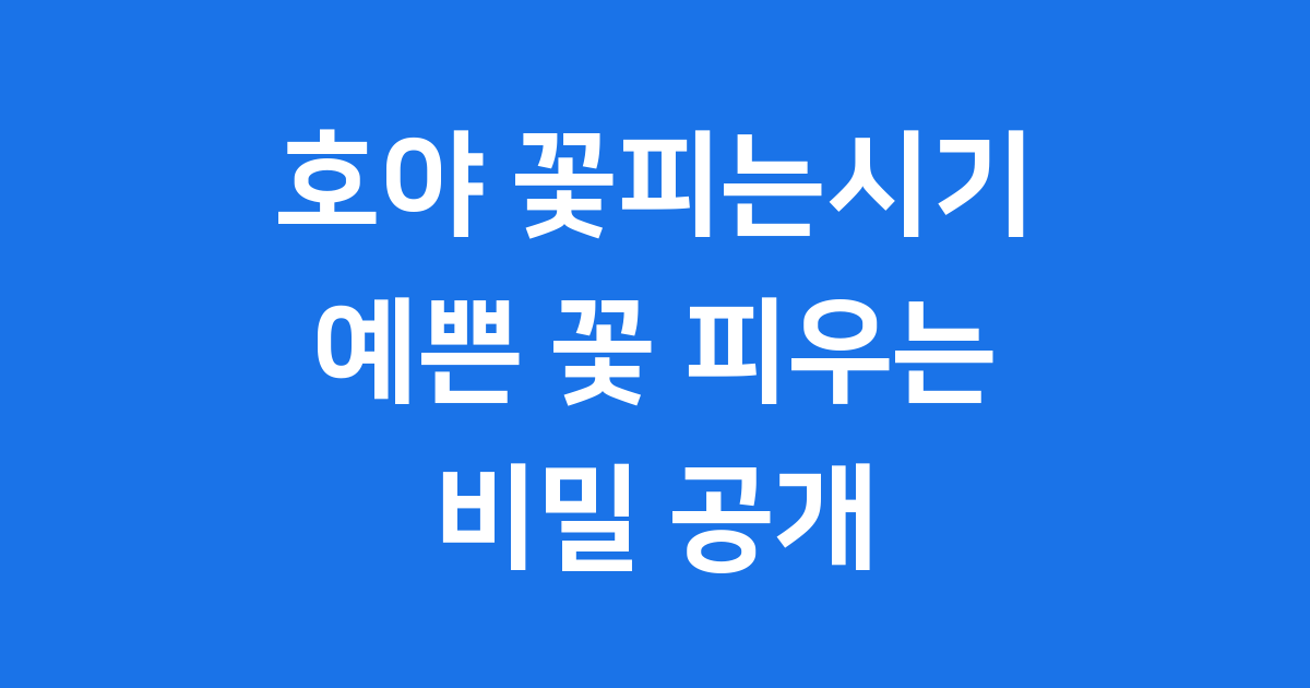 호야 꽃피는시기