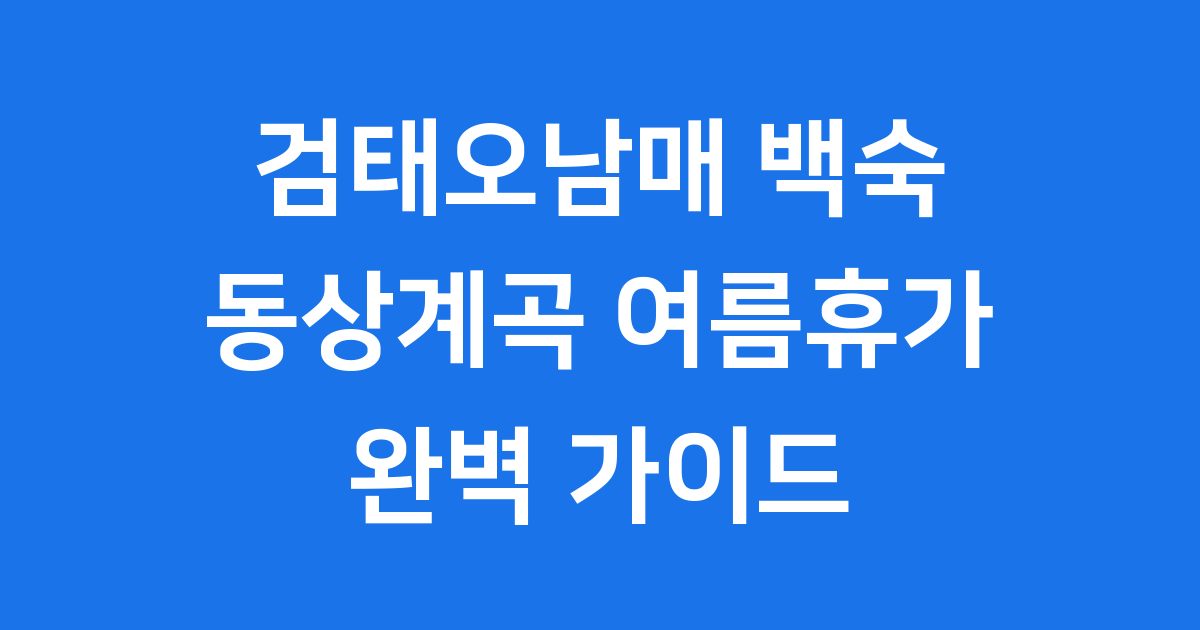 검태오남매 백숙 동상계곡 여름휴가 안내