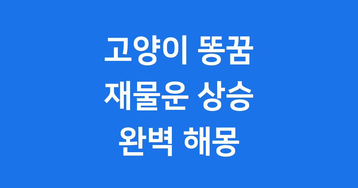 고양이 똥꿈 해몽 의미 재물운 상승 비법