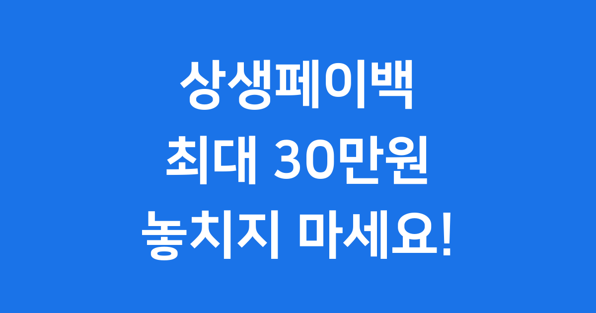 상생페이백 신청방법 2025년 자격 요건