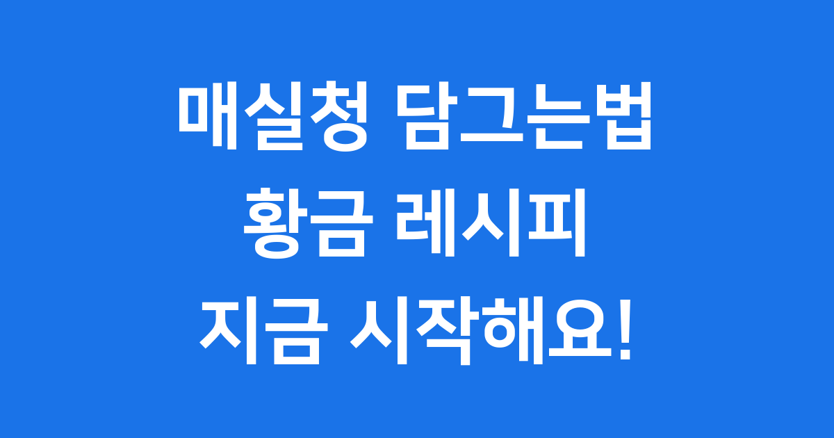 매실청 담그는법 황금 레시피