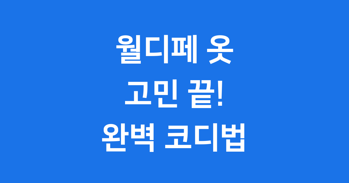2025 월디페 옷 고민 끝 완벽 코디법
