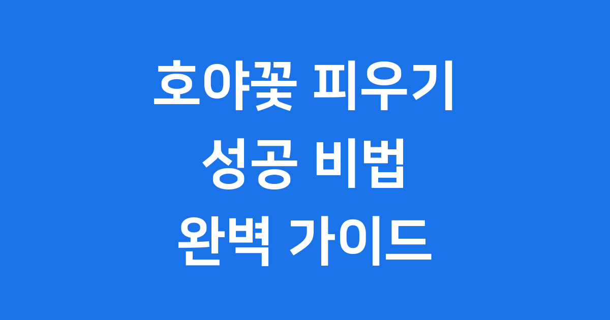 호야꽃 피우기