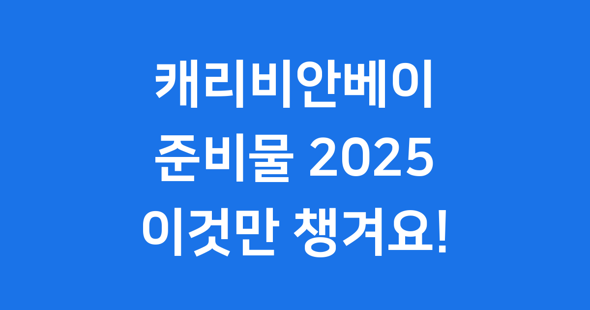 캐리비안베이 준비물 2025년 완벽 가이드! 이것만 챙겨요