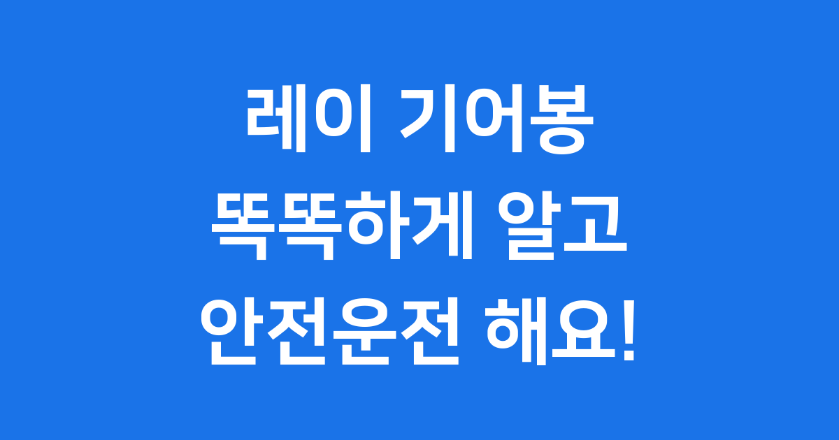 레이 기어봉, 똑똑하게 알고 안전운전 해요!