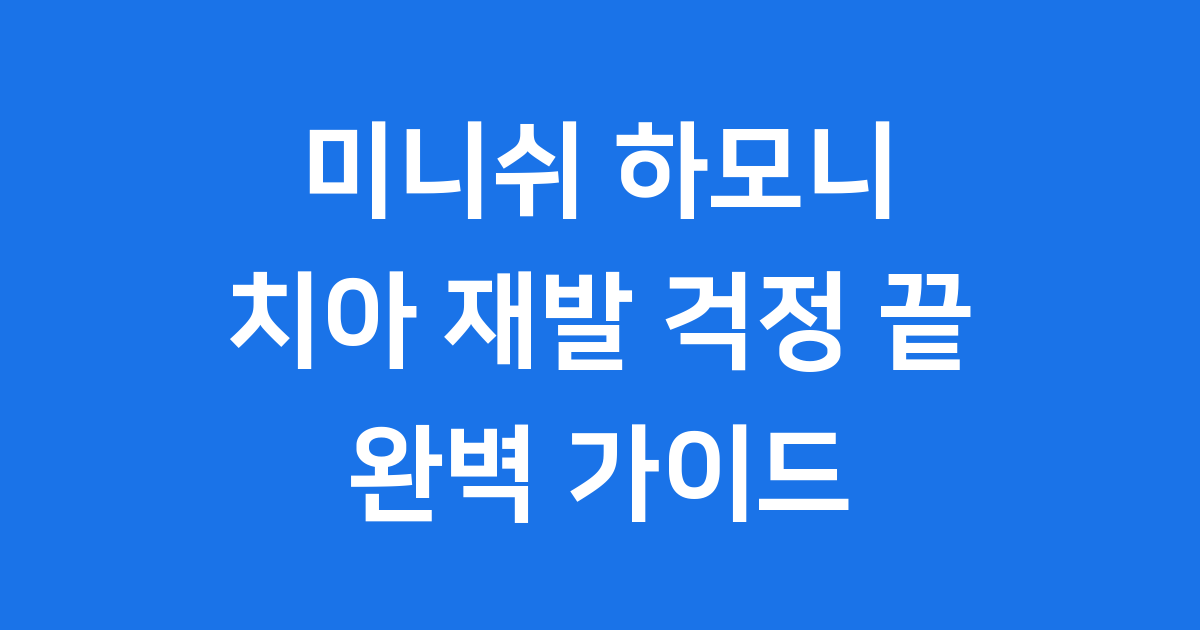 미니쉬 하모니 치아 교정 부작용 없는 솔루션