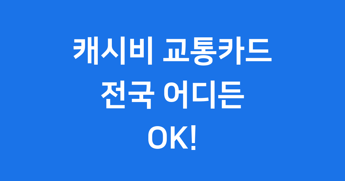 캐시비 교통카드 전국호환 사용처 기능