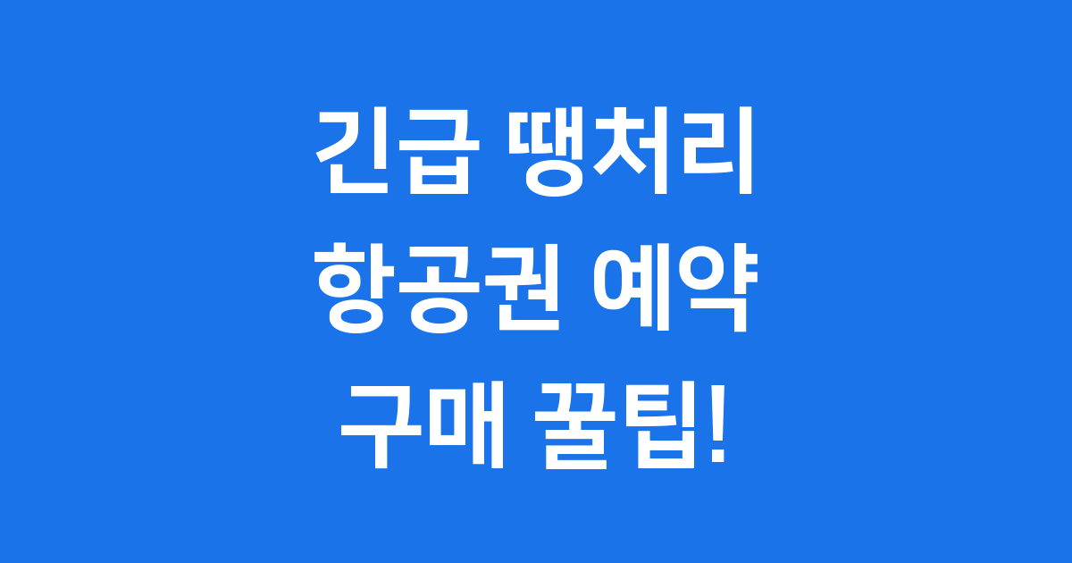 긴급 항공권 예약 방법 구매 꿀팁