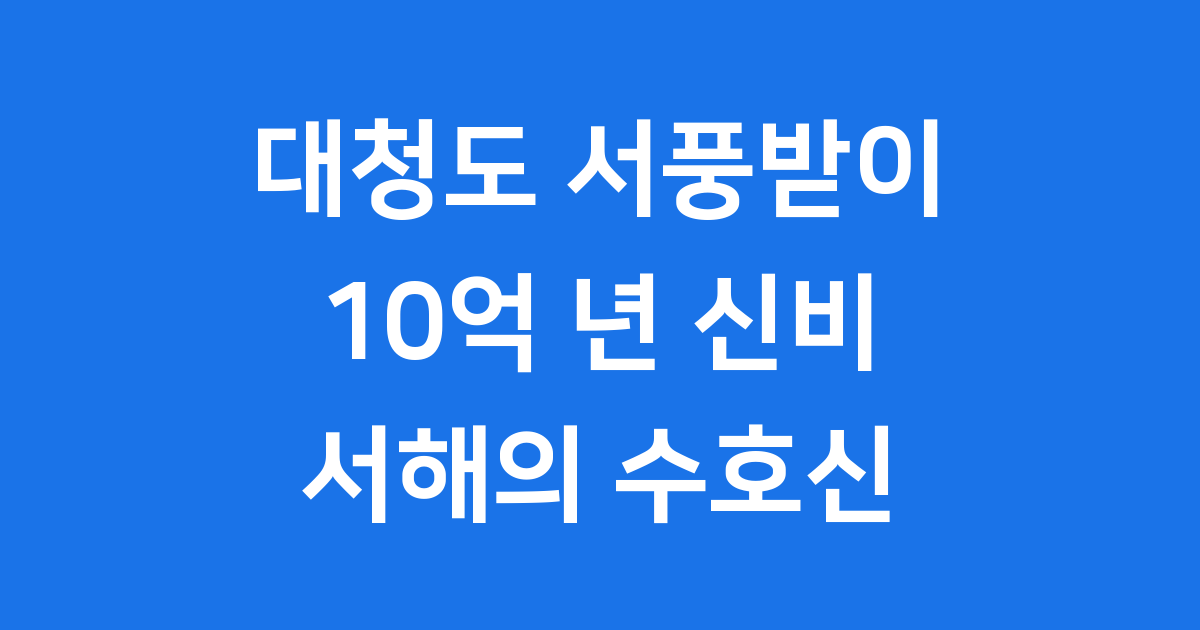 대청도 서풍받이: 10억 년의 신비, 서해의 수호신을 만나봐요!