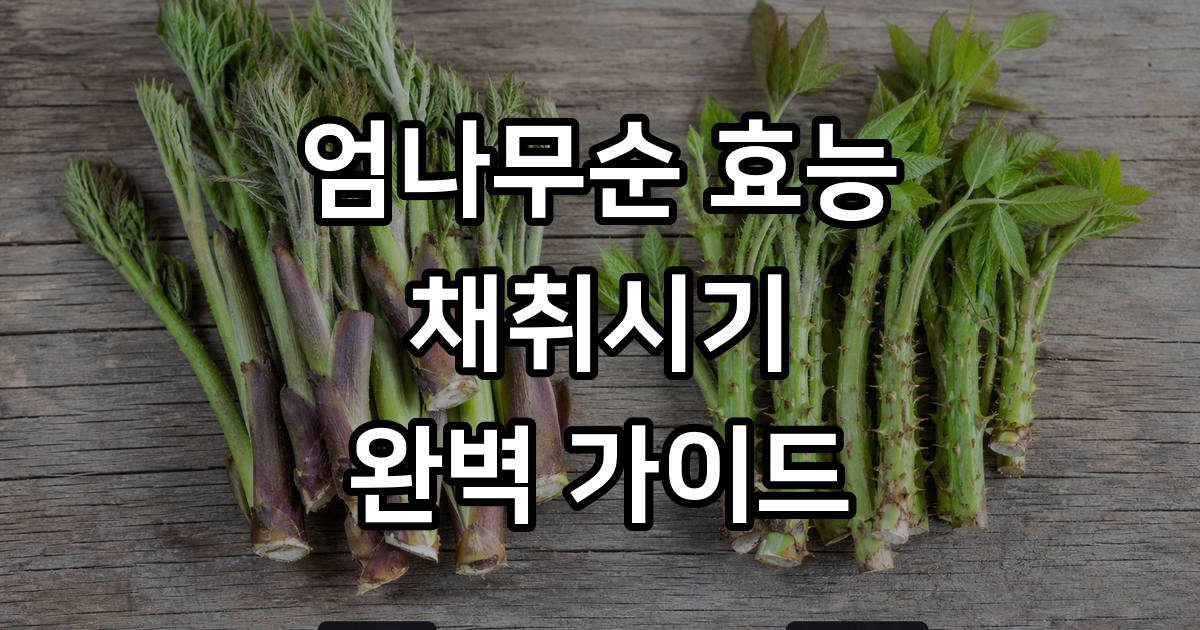 엄나무순 효능 채취시기 먹는법
