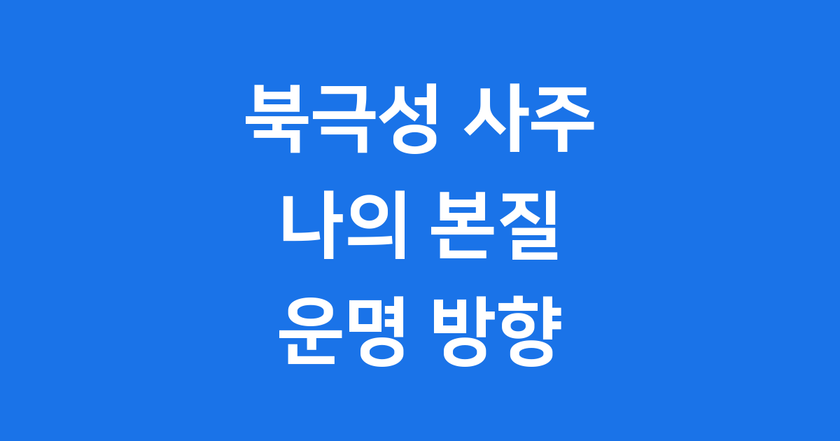 북극성 사주 나의 본질 운명 방향