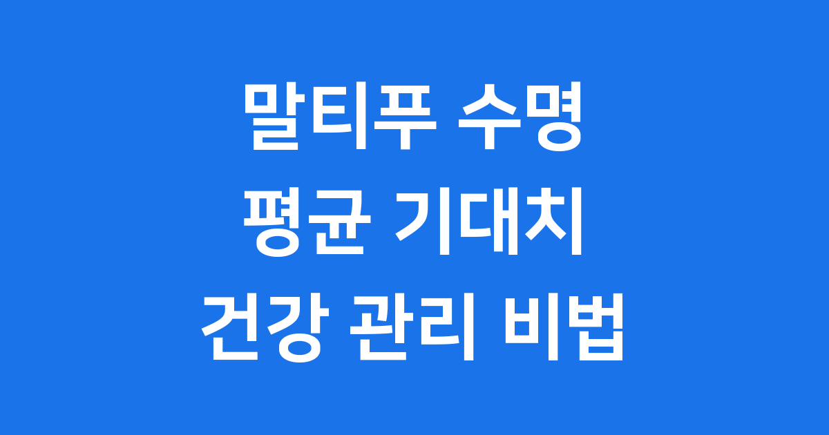 말티푸 수명 평균은 얼마나 될까요 건강 관리 비결