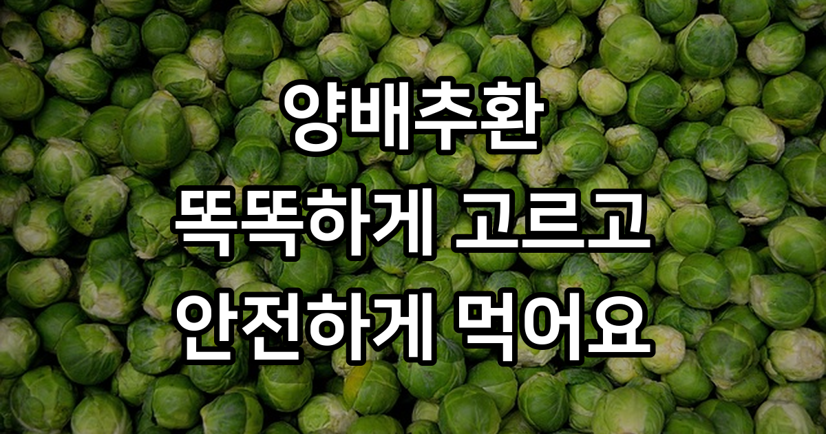 양배추환 효능 올바른 섭취 방법 선택 가이드