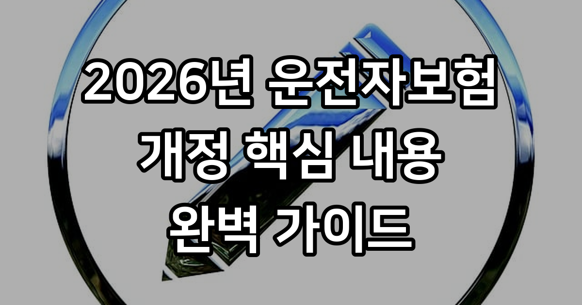 운전자 보험 필수 특약 정리