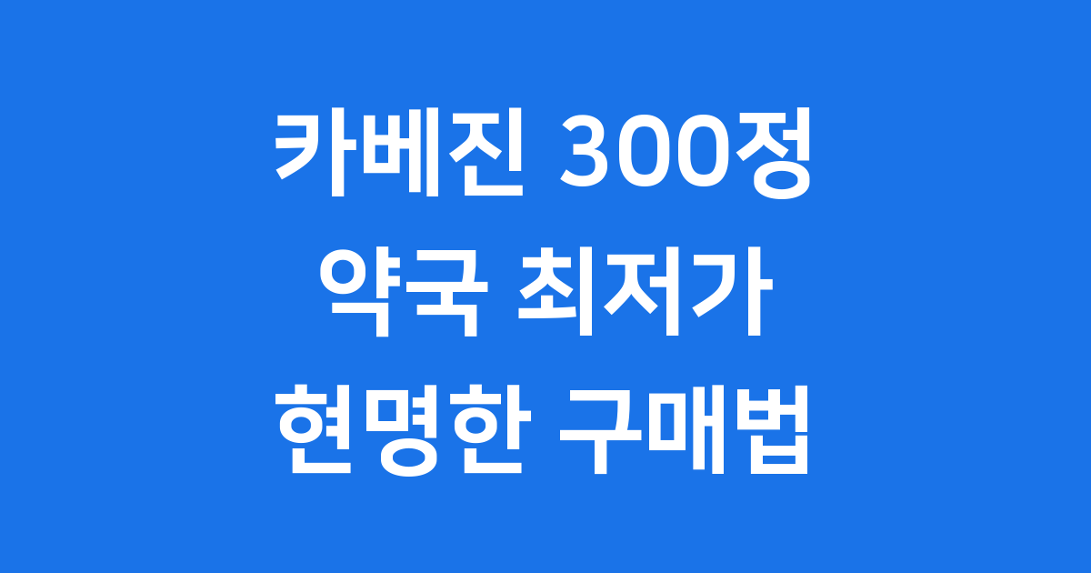 카베진 300정 가격 약국 직구 최저가 비교