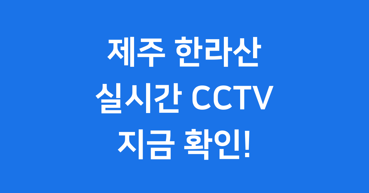 공식 제주도 CCTV 홈페이지, 어떻게 접속하나요?