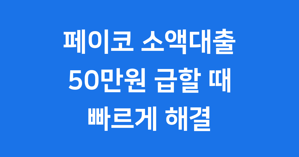 페이코 소액대출 신청 조건 후기