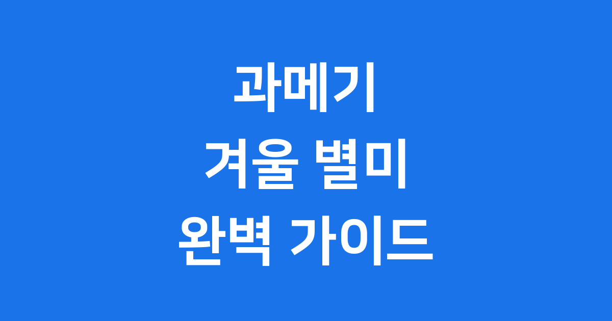 과메기 겨울철 별미 역사 효능 차이점
