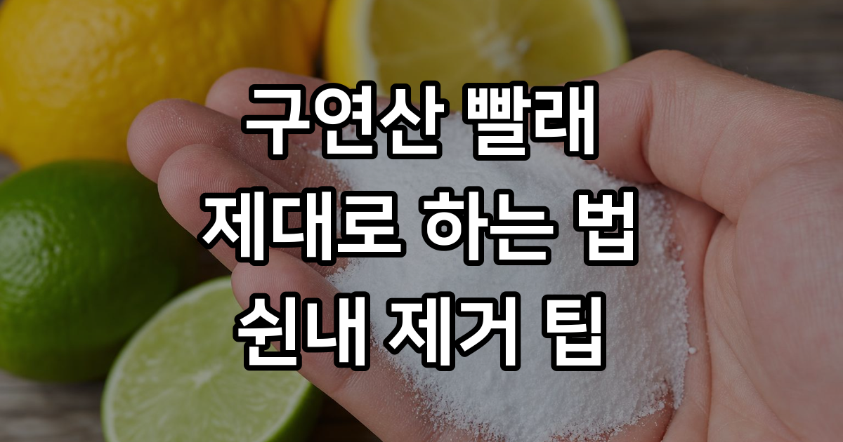 구연산 빨래 효능 사용법 쉰내 제거