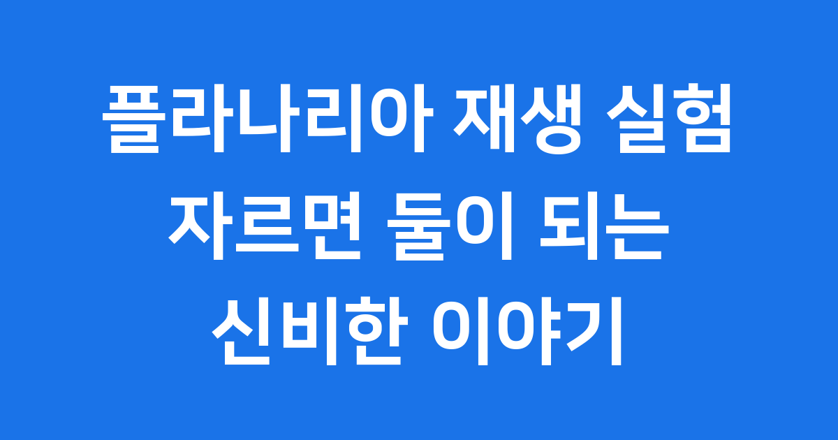 플라나리아 재생 실험: 자르면 둘이 되는 신비한 생물 이야기