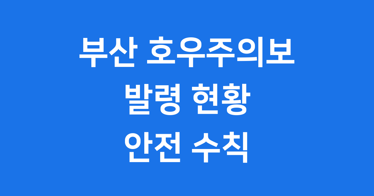 부산 호우주의보 발령 현황 안전수칙