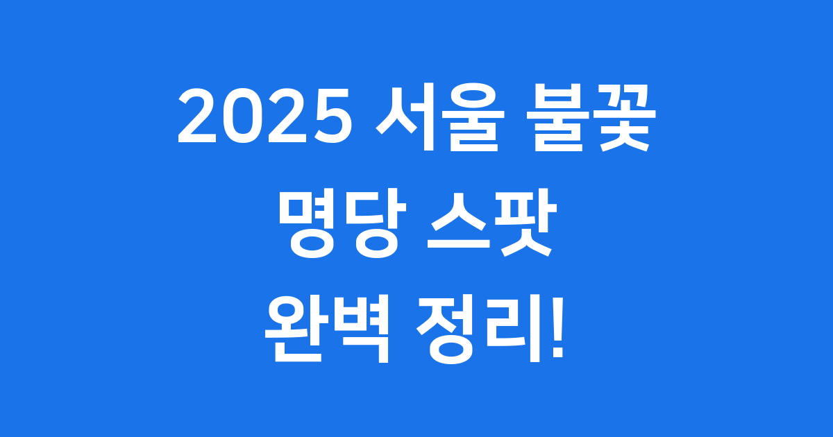 2025 서울 불꽃 명당 스팟 정리