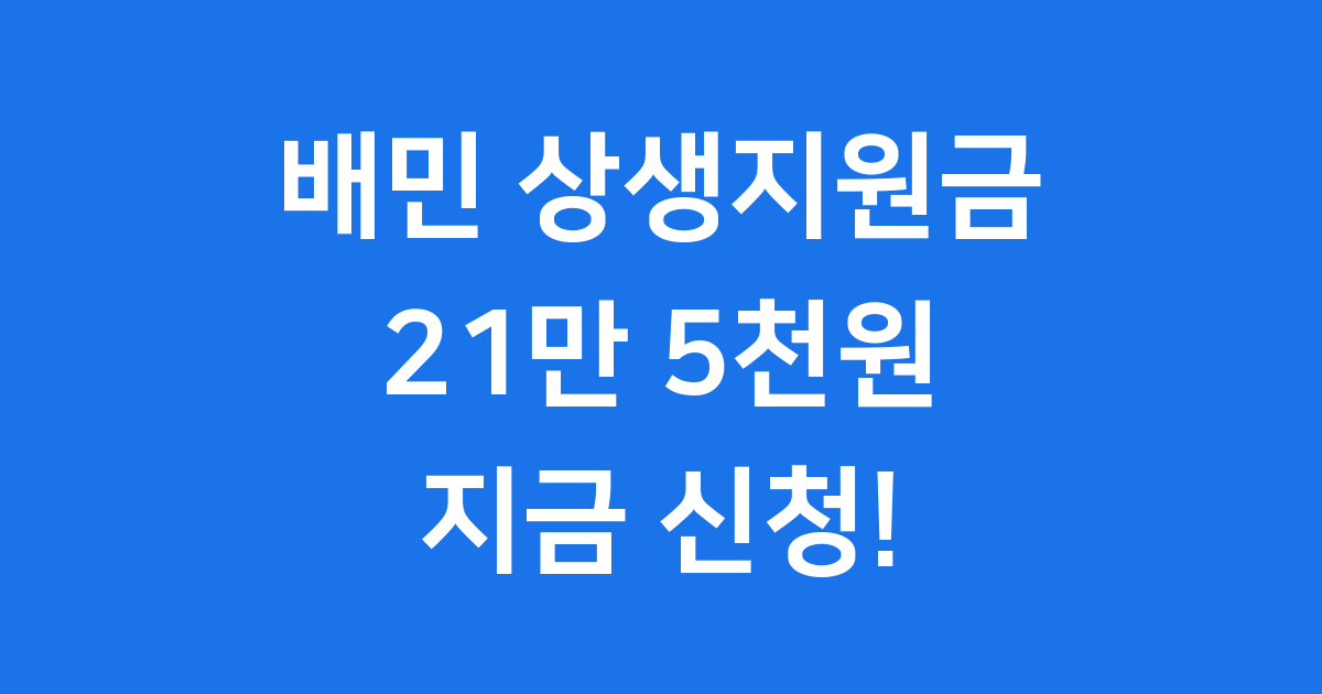배민 상생지원금