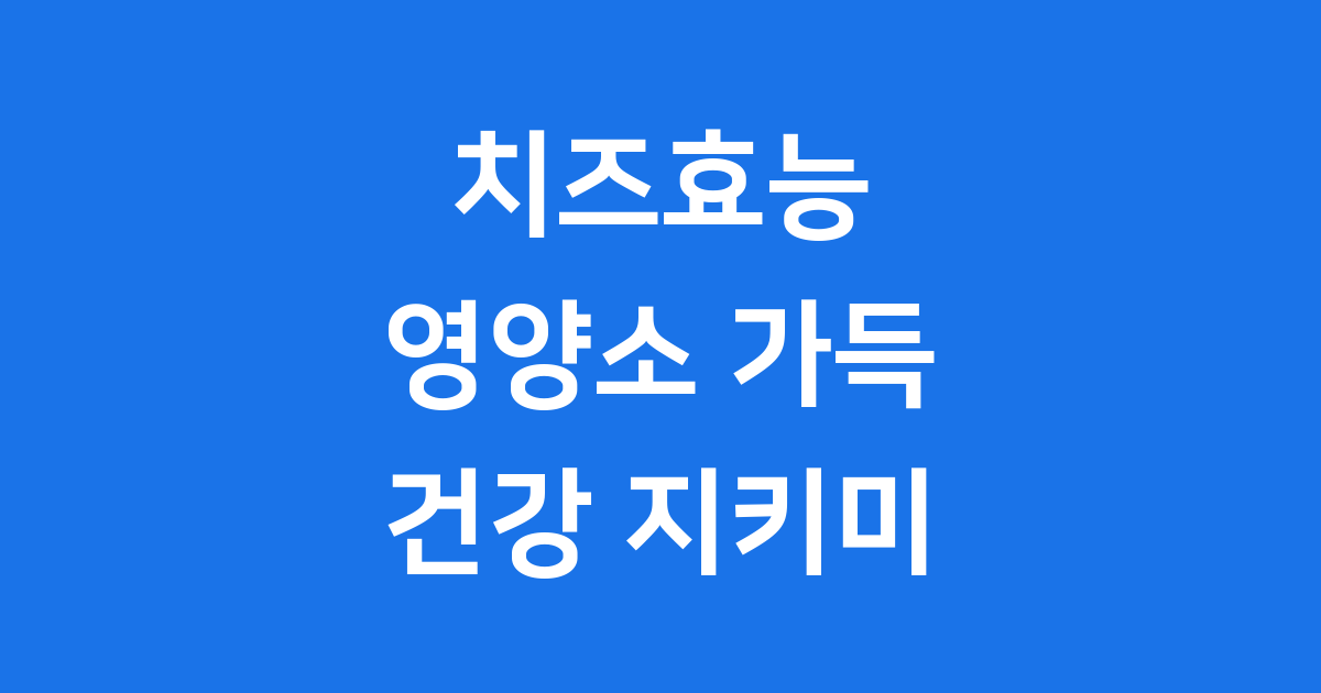 치즈 효능과 영양소