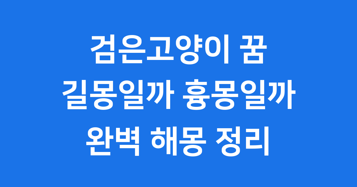 검은고양이 꿈해몽 행운 불길함 완벽 정리
