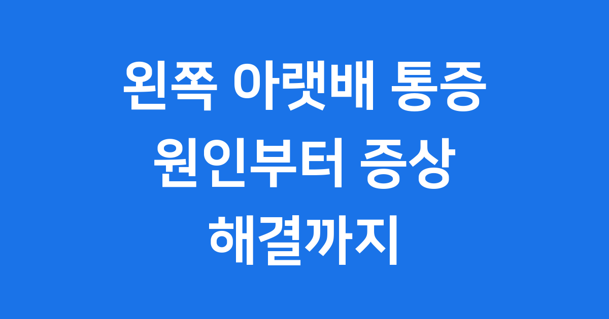 왼쪽 아랫배 통증, 우리 몸이 보내는 신호일까요?