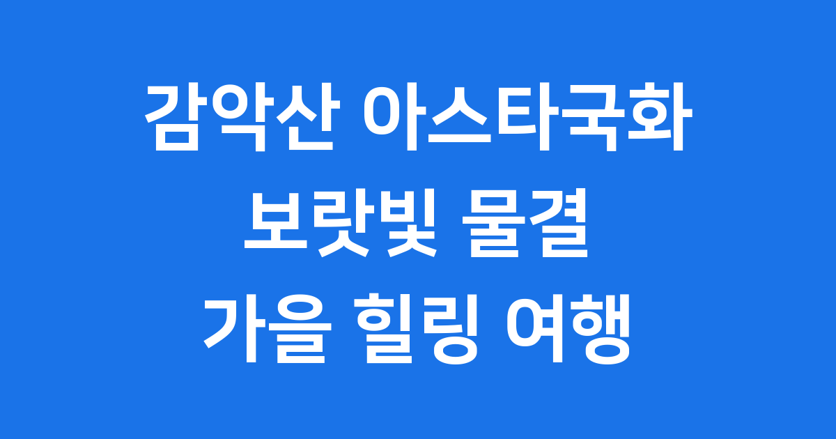 감악산 아스타국화 축제: 보랏빛 물결 속 가을 힐링 여행