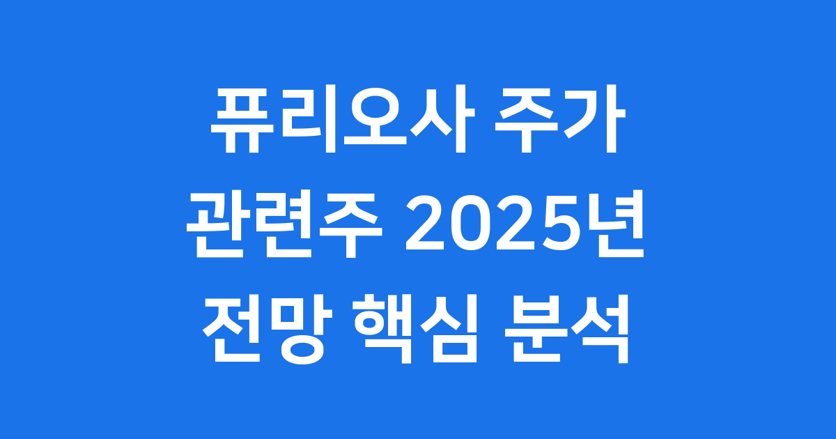 퓨리오사 주가 관련주 2025년 전망 핵심 분석