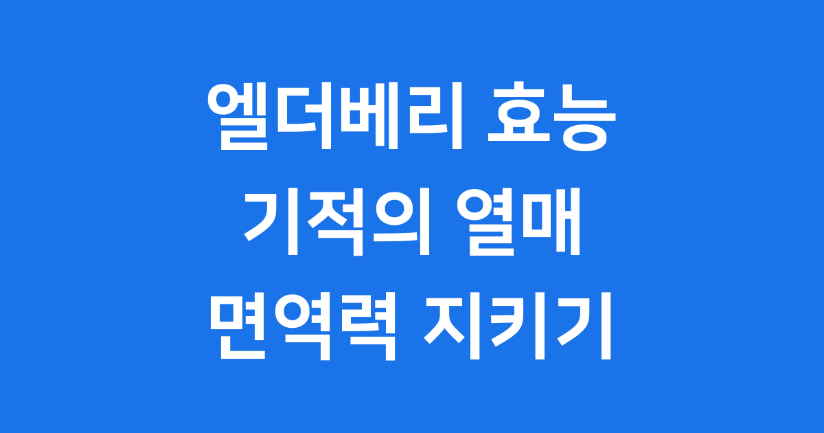 엘더베리 효능 기적의 열매 면역력 지키기