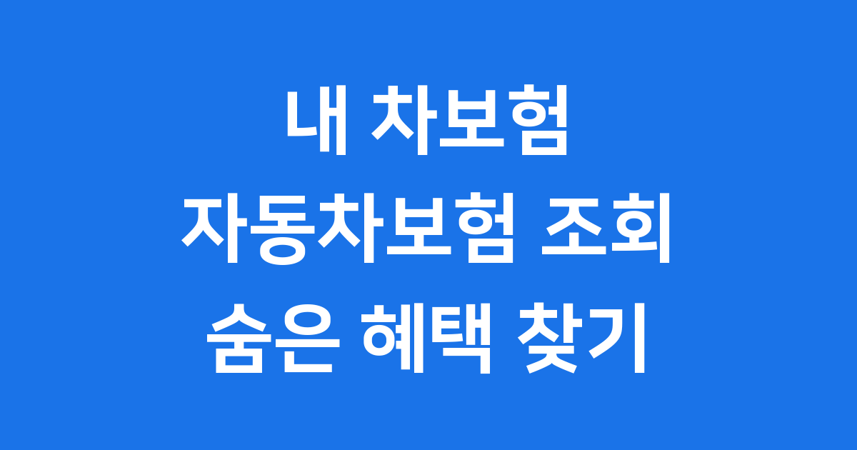 자동차보험 조회 내보험 찾아줌 간편 확인